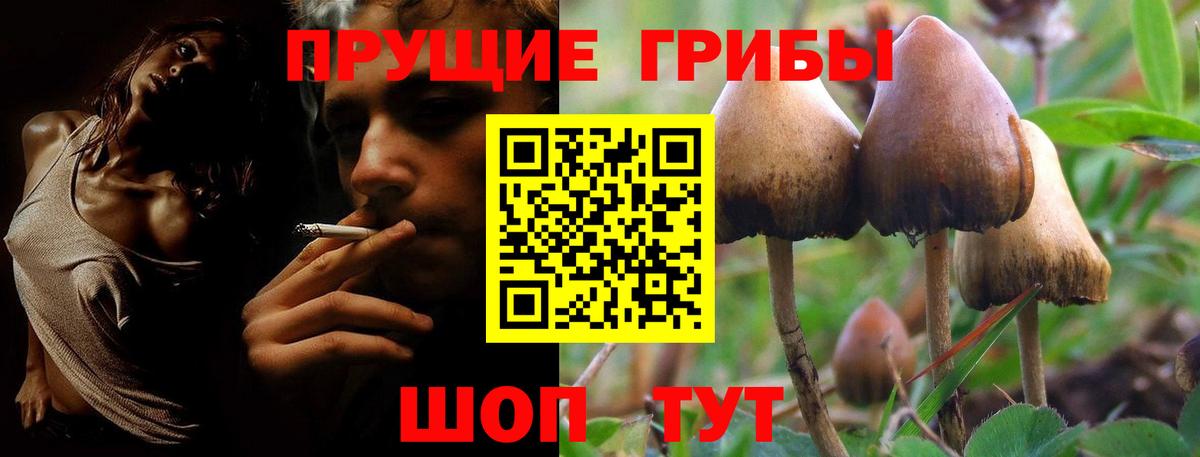 Галлюциногенные грибы Cubensis  Вход с VPN  Вязники 